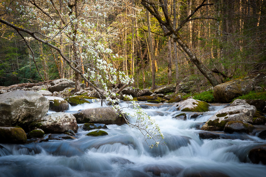 Great Smoky Mountains National Park - 