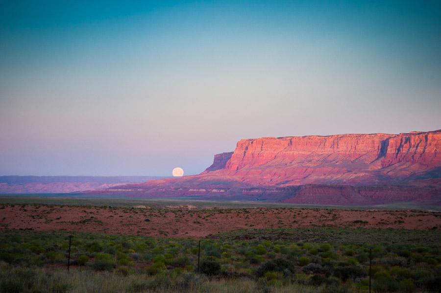 Northern Arizona 