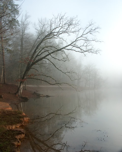 Piedmont College, Georgia - 