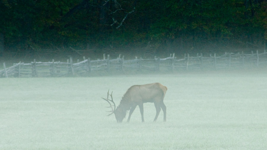 Great Smoky Mountains National Park - 