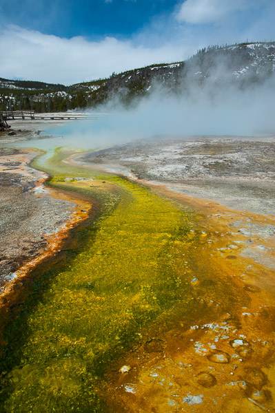 Yellowstone National Park - 