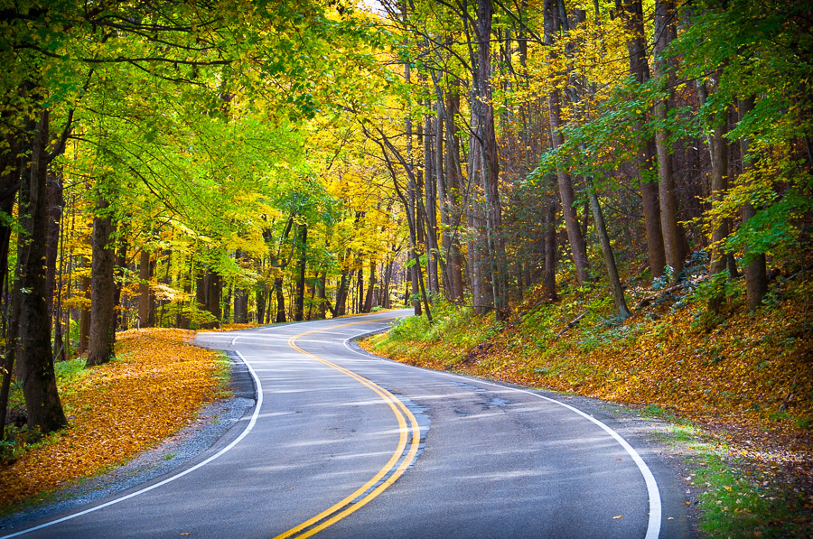 Great Smoky Mountains National Park - 