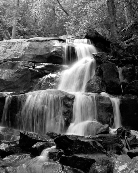 Great Smoky Mountains National Park - 