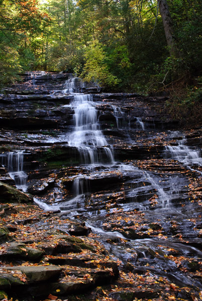 North Georgia - 