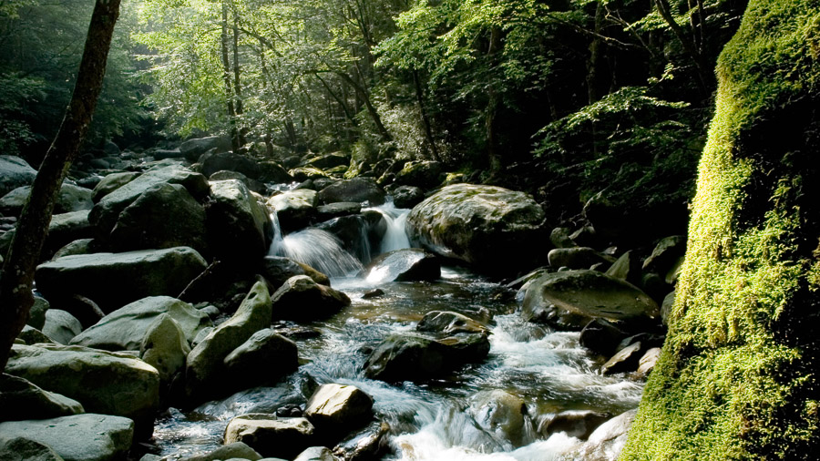 Great Smoky Mountains National Park - 