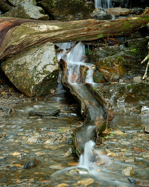 Great Smoky Mountains National Park - 