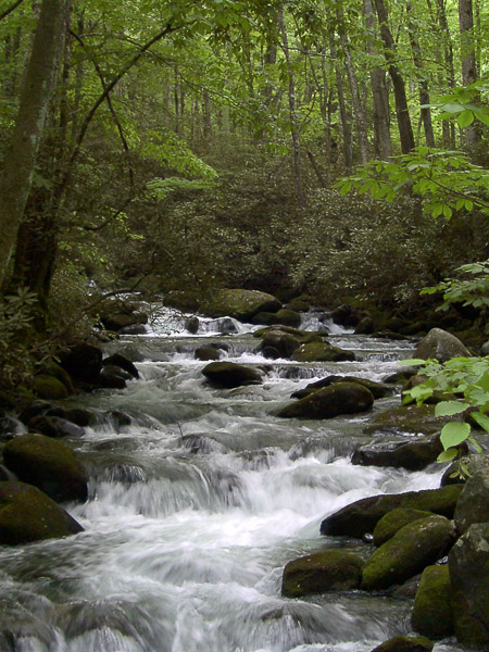 Great Smoky Mountains National Park - 