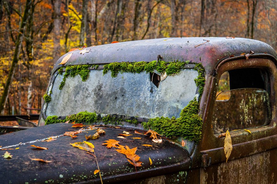 Great Smoky Mountains National Park - 