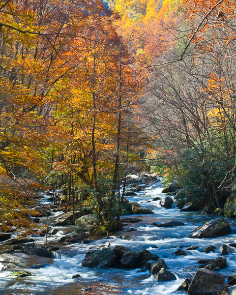 Great Smoky Mountains National Park - 