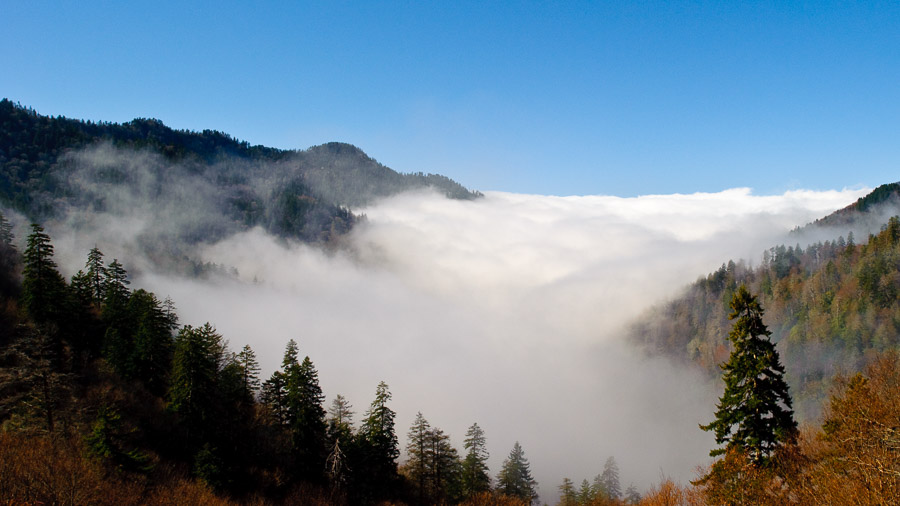 Great Smoky Mountains National Park - 